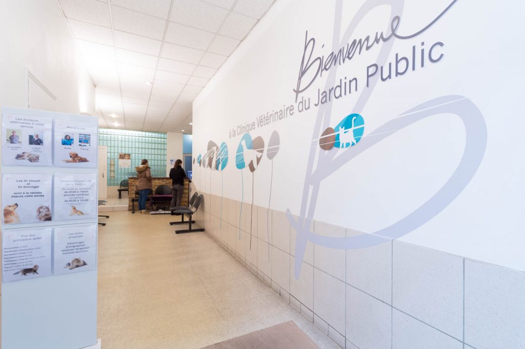 Clinique Vétérinaire Urbiveto – Rue Jardin Public à Bordeaux