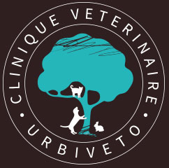 Clinique Vétérinaire Urbiveto Jardin Public Bordeaux